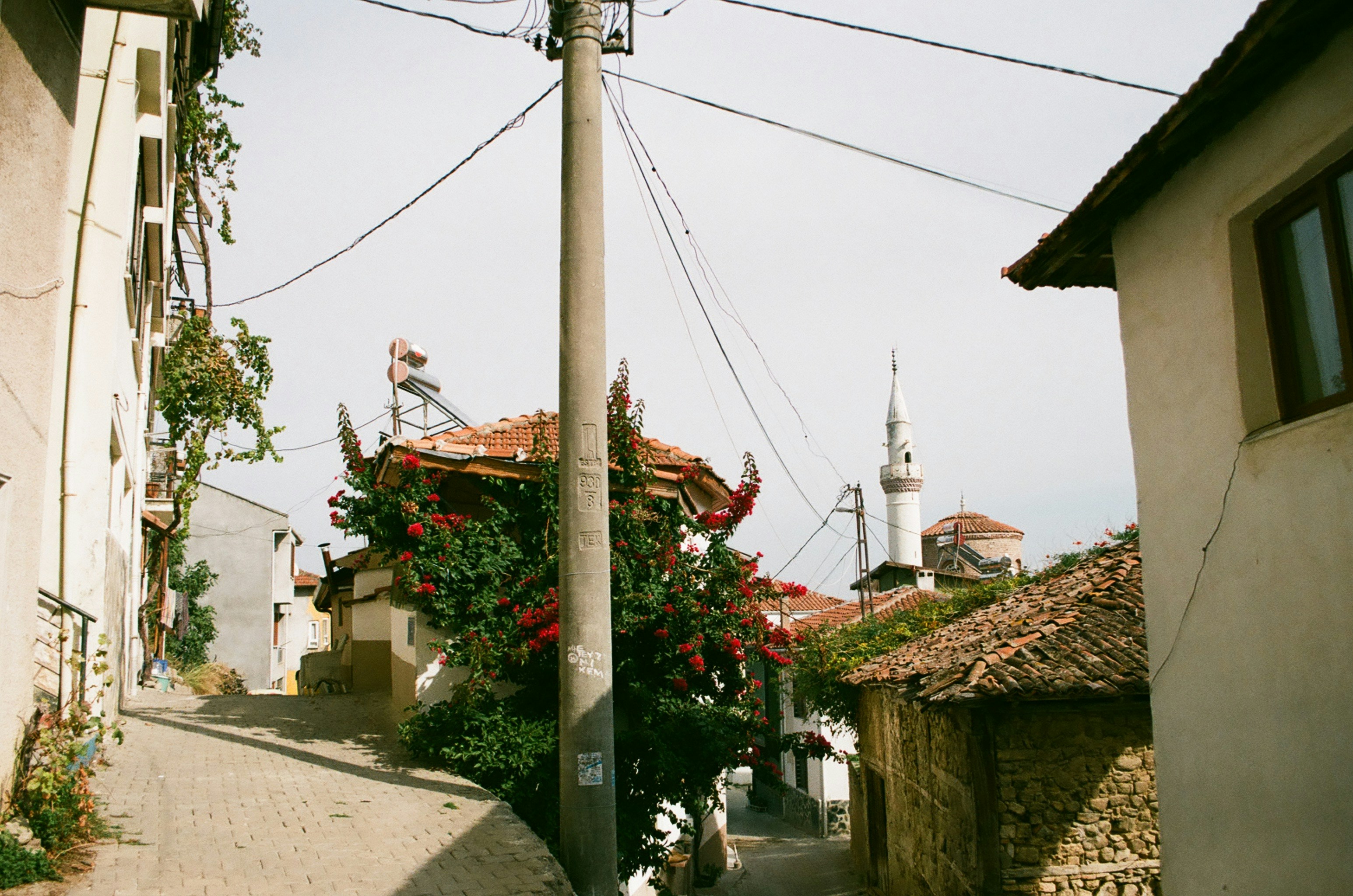 Narrow cobblestone street lined with old houses and red flowers in bloom, with the white minaret of a mosque rising in the background under a hazy sky.