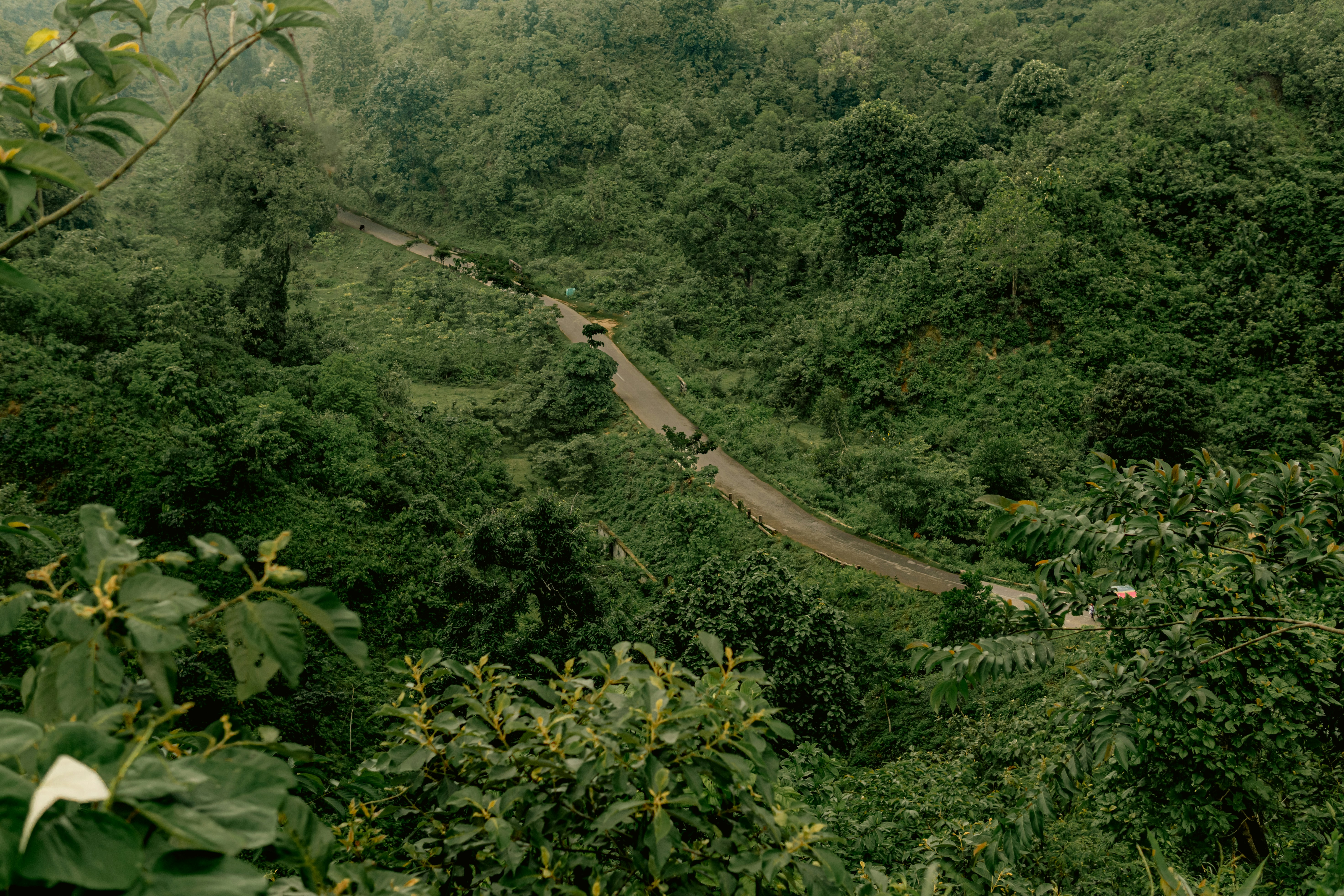 Winding road cutting through dense green forest in the mountains of northern Vietnam, viewed from above with lush tropical foliage in the foreground.